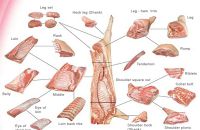 DỊCH VỤ NHẬN GIA CÔNG PHA LÓC HEO TƯƠI VÀ ĐÔNG LẠNH