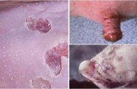 Cách nhận biết thịt heo bị lỗ mòn long móng và mua sau cho đúng