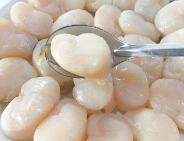 3 món ngon từ cồi sò mai thơm ngon bổ dưỡng dễ làm ngay tại nhà