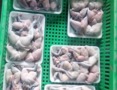 Tác dụng của thịt ếch: Giàu dưỡng chất, tốt cho cơ thể