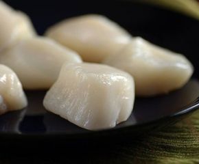 Cồi Sò Điệp