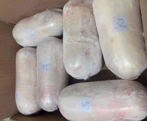 Heo Sữa Sống – Đông lạnh